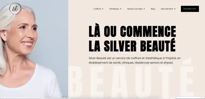 Silver Beauté · ERP, built by the Trikrypt team